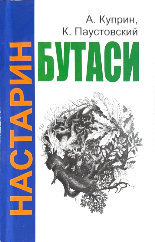 Nastarin butasi