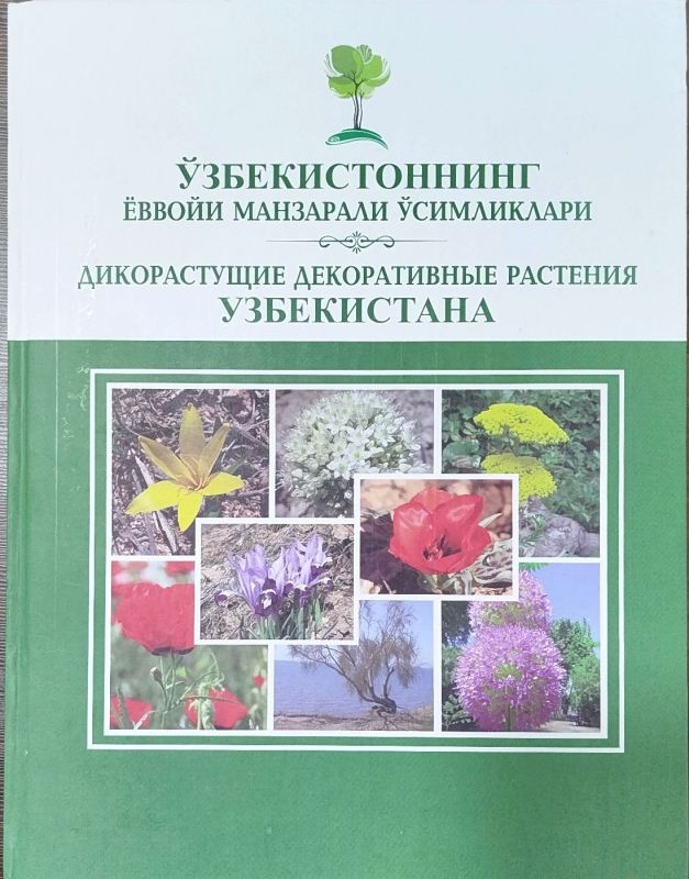 O'ZBEKISTONNING YOVVOIY MANZARALI O'SIMLIKLARI