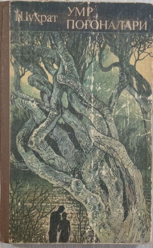 Umr pogʻonalari