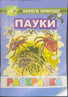 ПАУКИ