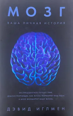 МОЗГ