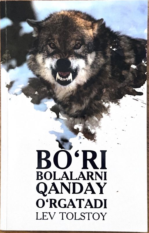 BOʻRI BOLALARNI QANDAY OʻRGATADI